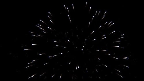 Fireworks 313