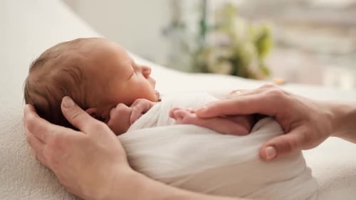 Newborn Baby Cradled in Loving Hands