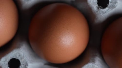 Tray of Eggs 15