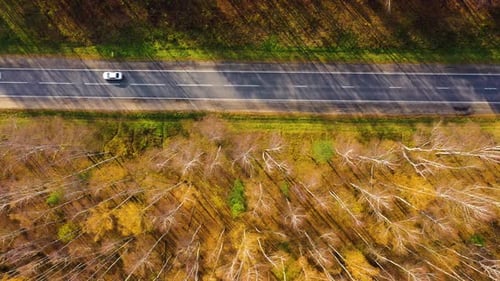 High Angle View of a Road Trough the Autumn Forest with Copy Space.