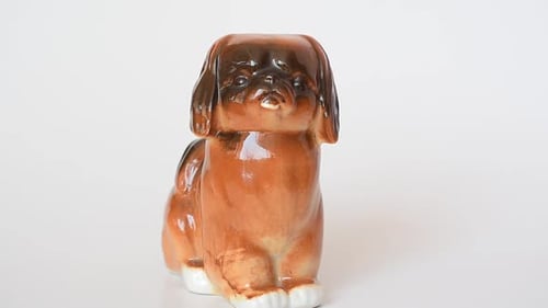 Dog 22