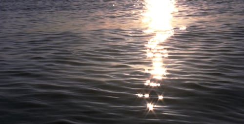 Sparkling Sunlight Reflects on Gently Rippling Ocean