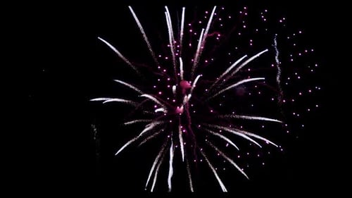 Fireworks 314