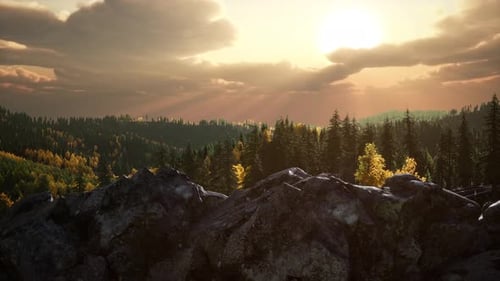 Summer Forest in Mountain Landscape