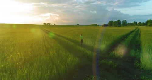 Criança esportiva corre por um campo de trigo verde
