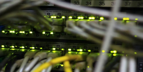 Server Cables with Blinking Lights Close Up