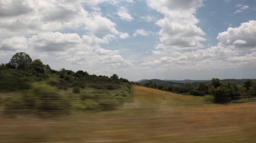 Passing Green Landscape on a Sunny Day