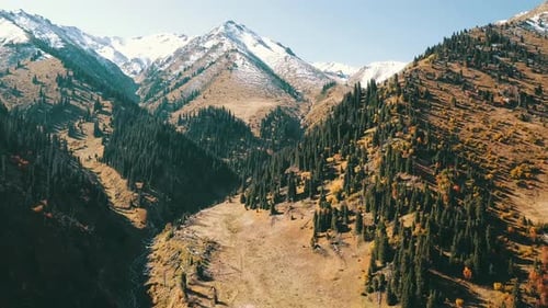 Autumn landscape in the mountains. Snowy peaks, yellow-green grass, orange-red bushes