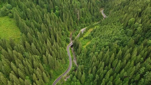 Aerial View of a Coniferous Forest Through Which a Winding Road Passes in the Mountains