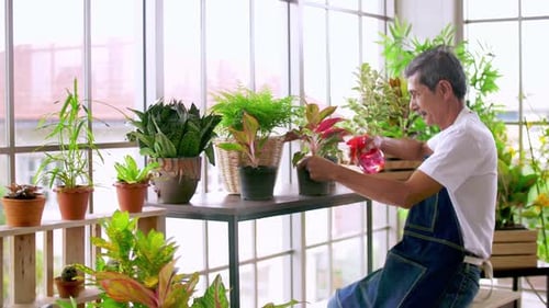 Man tending potted plants in indoor sunlit garden