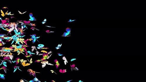 Vibrant Butterflies Swarm Flying Transition