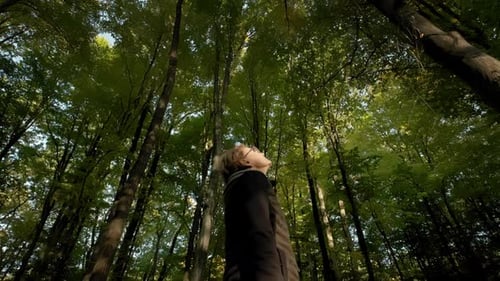 Wide View of Young Woman Walking Through Tall Trees in Forest
