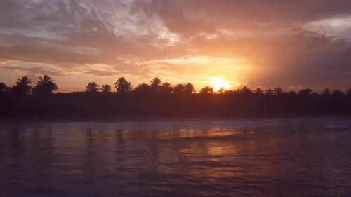 Sonnenuntergang am Strand mit Palmen 60fps