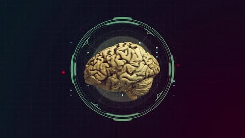 Brain Grid