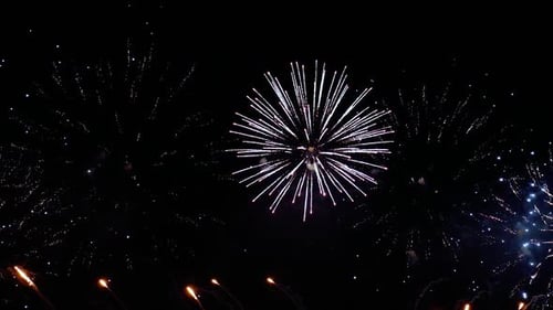 Vibrant Fireworks Display Bursts in Night Sky