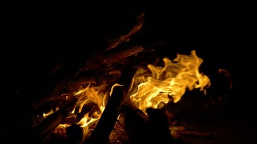 Camp Fire (4K)