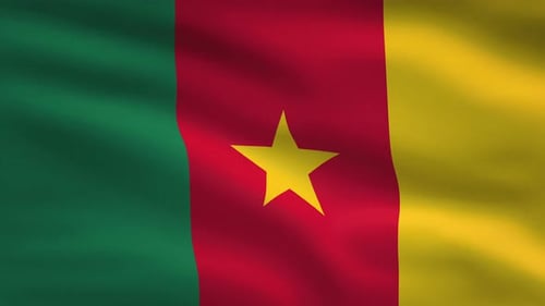 Smoothly Waving Cameroon National Flag Animation
