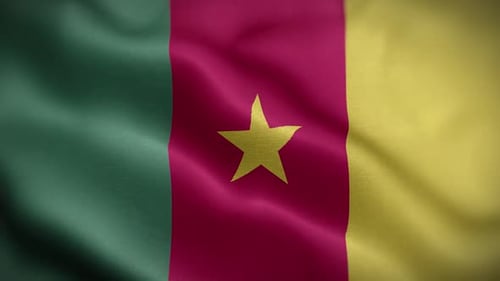Realistic Waving Flag of Cameroon Animation Loop