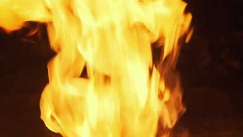 Fire Flames on a Black Background. Bonfire Burning at Night, Slow Motion