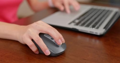 Woman work on computer at home