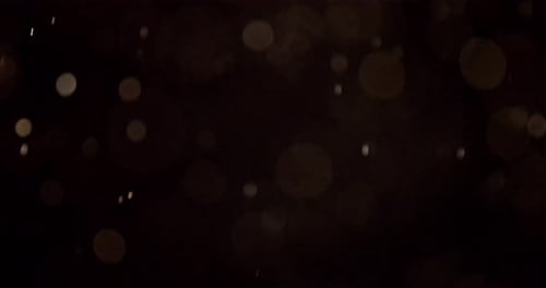 Particles 060