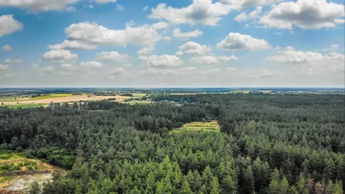 Vue Aérienne Hyperlapse Sur Forêt Verte Avec Nuages En Mouvement Dans Le Ciel Bleu