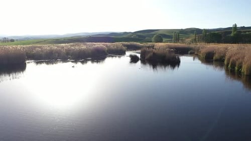 Vue Aérienne De La Nature Et Des Roseaux Du Lac