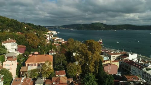 Aerial View Of Seaside Town With Trees