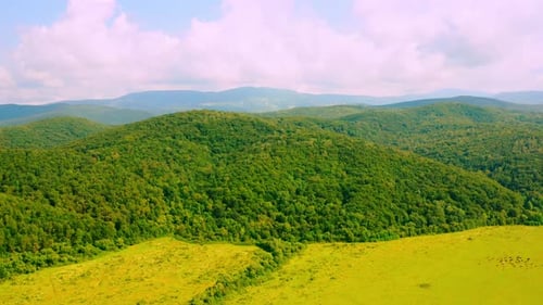 Aerial View on Meadow Pasture