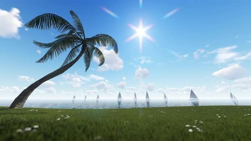 Palme Und Boote