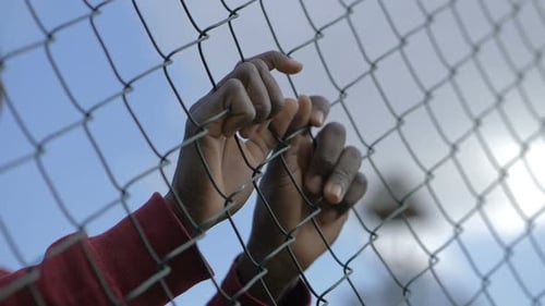 Hands Grasping a Chain Link Fence Outdoors