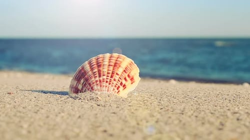 Beach 7