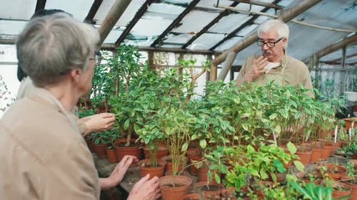 Man Discusses Potted Plants With Women In Greenhouse
