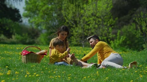 Family Picnic on a Sunny Spring Day