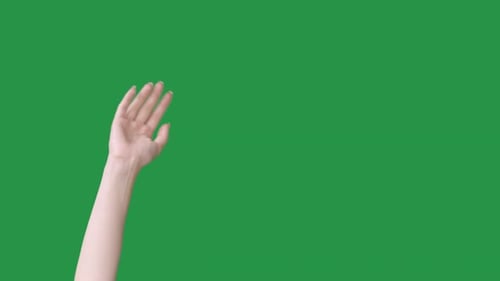 Hand Waving on a Green Screen Background