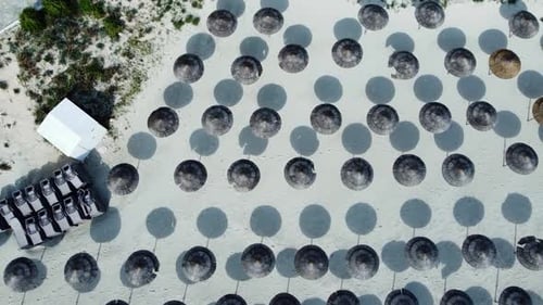 Umbrellas at Sandy Beach Sunny Weather