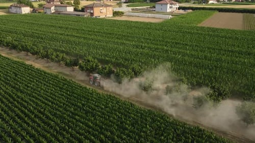 Tractor Dusting Cornfield on Sunny Day Aerial Shot