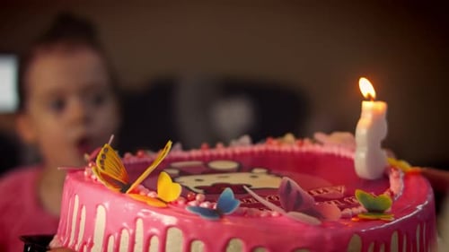 Child Blows Out Birthday Candle on Cake