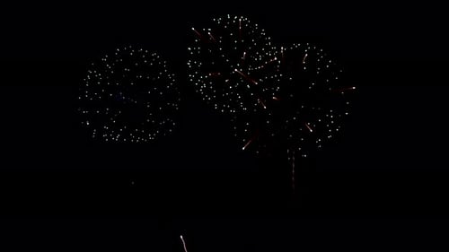 Colorful Fireworks Exploding in the Night Sky