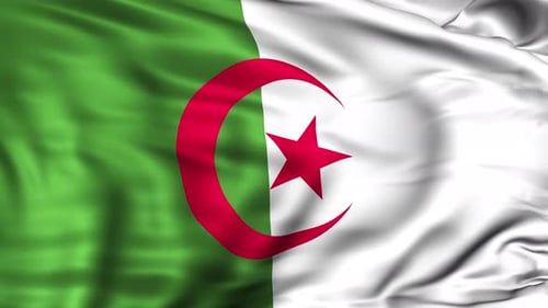 Authentic Algerian Flag Waving in the Wind Seamless Loop