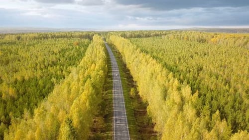 Nature Country Road