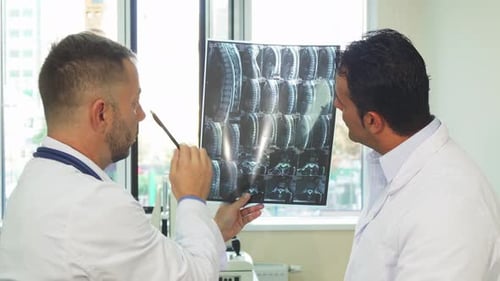 Two Doctors Reviewing Medical X-Ray in Hospital