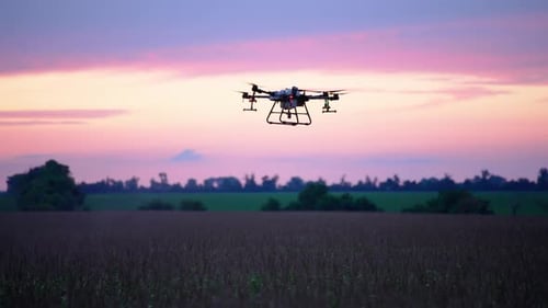 Drone Flying Over Field at Colorful Sunset