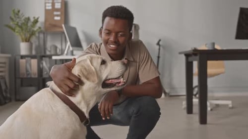 African American Man Petting Labrador in Office