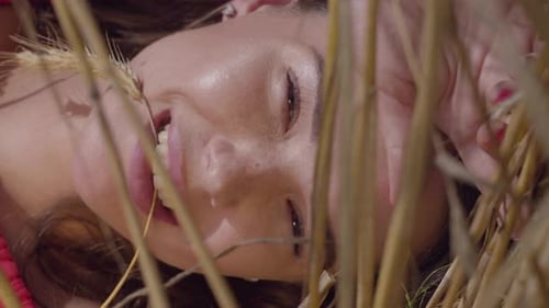 Portrait of an Attractive Woman with Long Hair Lying on Straw on the Wheat Field Looking at the