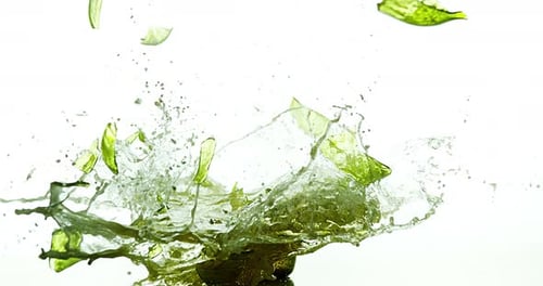 Bouteille de bière se brisant et éclaboussant sur fond blanc, ralenti 4K