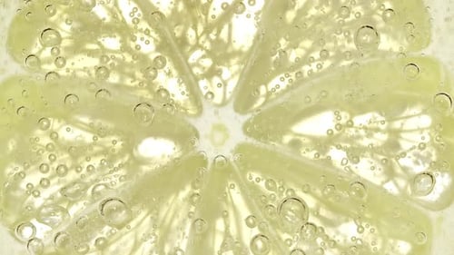 Lemon Slice with Bubbles