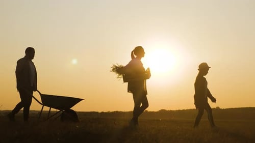 Young Family Having Fun Outdoors in Their Farm. Gardener Man Pushing Wheelbarrow with Vegetables at