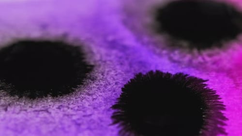 Color Paint Spatter Ink Paper Stain Purple Black