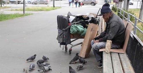 Man Sitting on Bench Feeding Pigeons in Urban Park